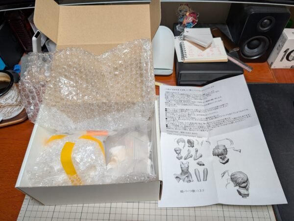 PXL_20250423_052232942 WF2025w 岩仓玲音 半身像 serial experiments lain はまの あゆむ