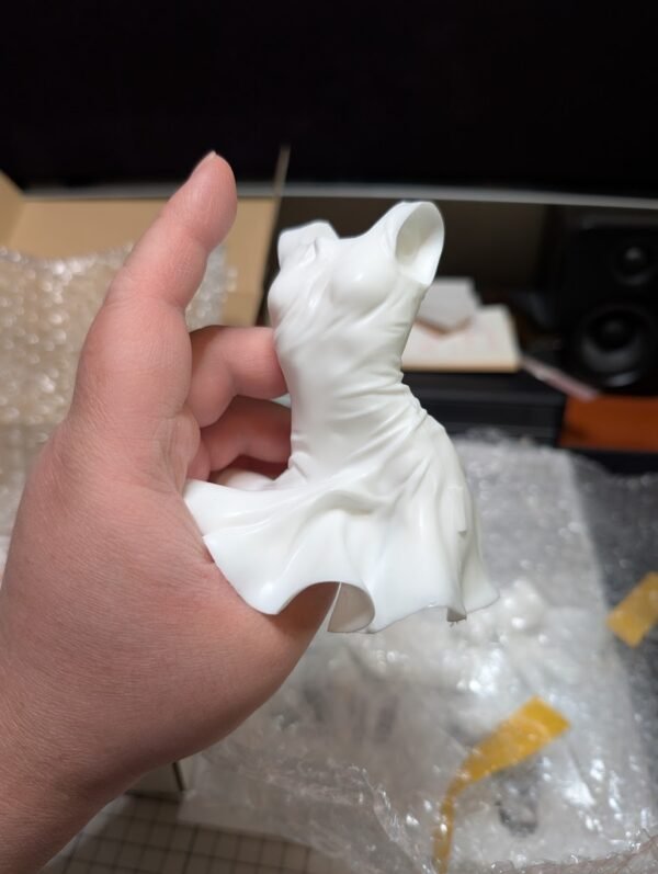 PXL_20250423_052615833 WF2025w 岩仓玲音 半身像 serial experiments lain はまの あゆむ