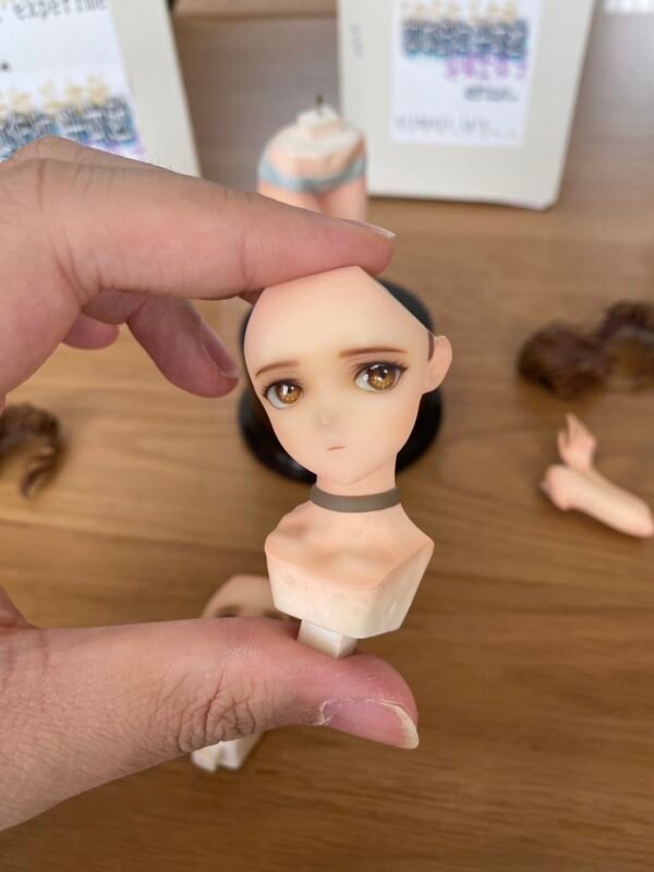 pbs-6 WF2025w 岩仓玲音 半身像 serial experiments lain はまの あゆむ