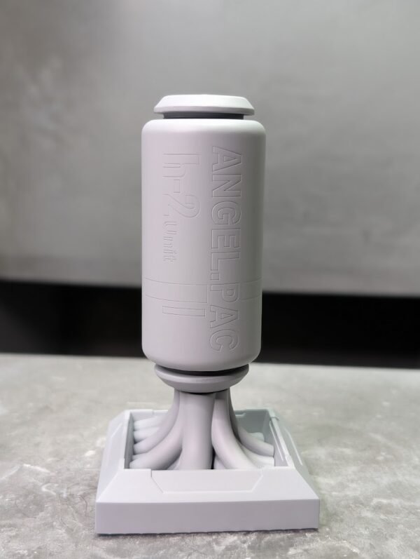 TFO20 R type 2 Angle Pac 1/12？ 三毛劳 异型战机